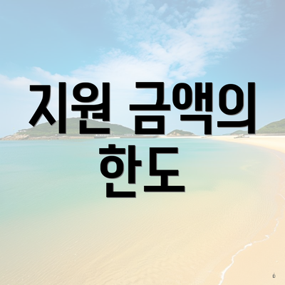 지원 금액의 한도