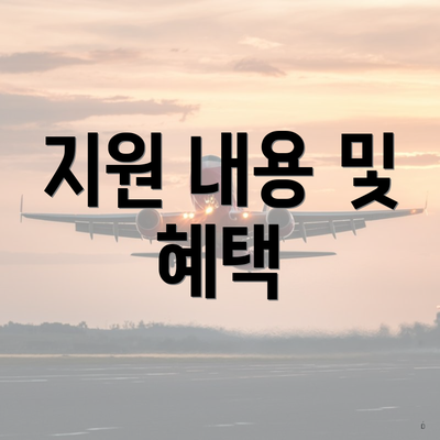 지원 내용 및 혜택