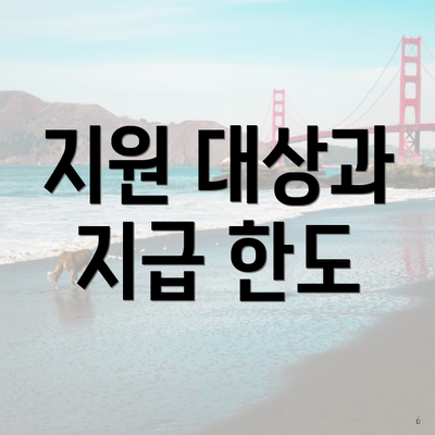 지원 대상과 지급 한도