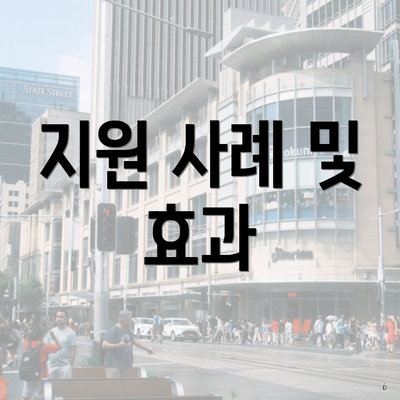 지원 사례 및 효과