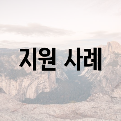 지원 사례