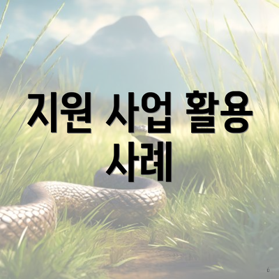 지원 사업 활용 사례