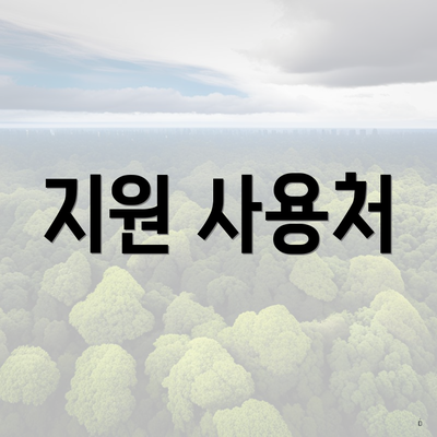 지원 사용처