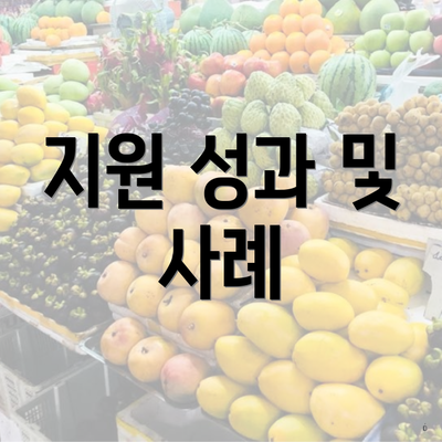 지원 성과 및 사례
