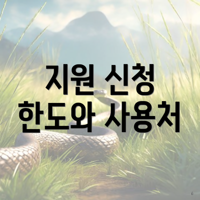 지원 신청 한도와 사용처