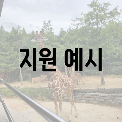 지원 예시