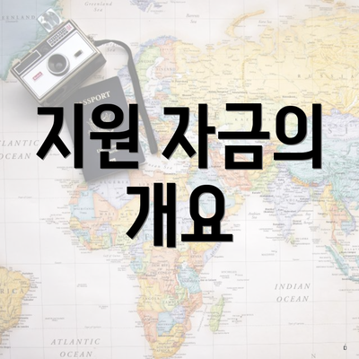 지원 자금의 개요