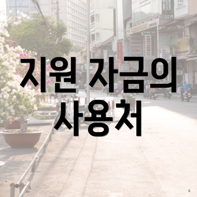 지원 자금의 사용처