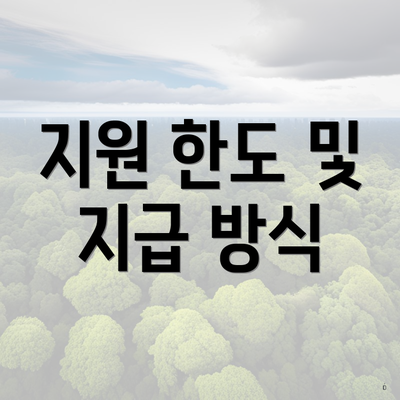 지원 한도 및 지급 방식