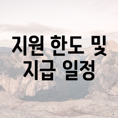 지원 한도 및 지급 일정