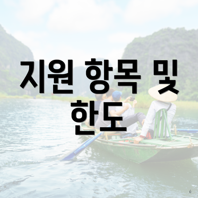 지원 항목 및 한도