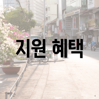 지원 혜택