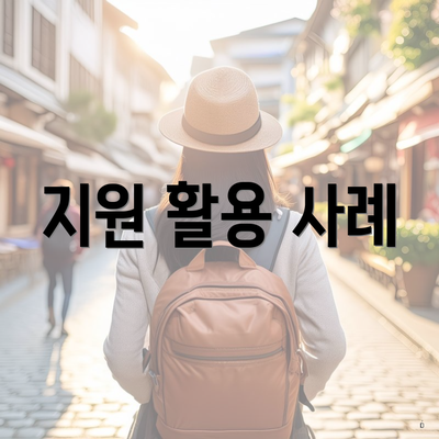 지원 활용 사례