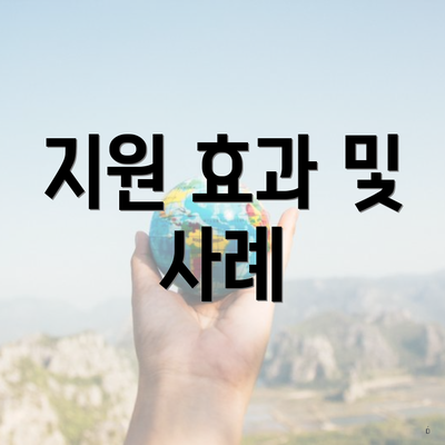 지원 효과 및 사례