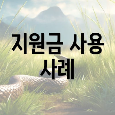 지원금 사용 사례