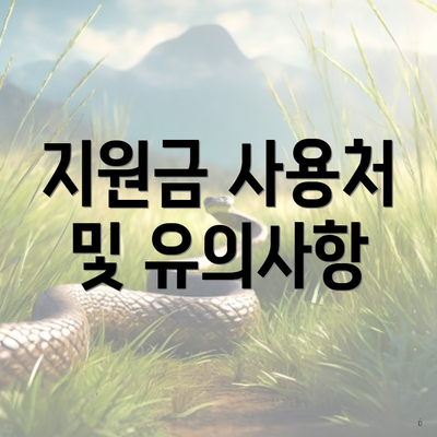 지원금 사용처 및 유의사항