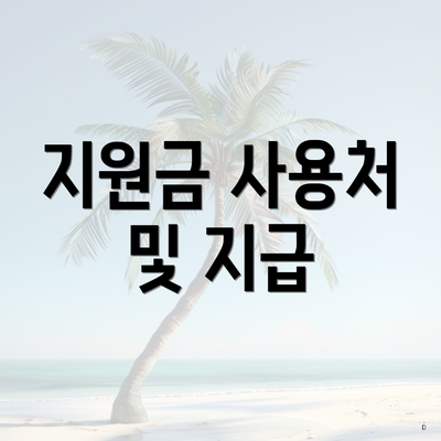 지원금 사용처 및 지급