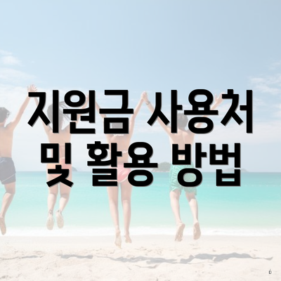 지원금 사용처 및 활용 방법