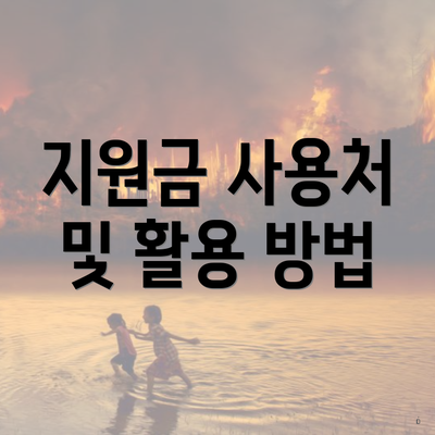 지원금 사용처 및 활용 방법