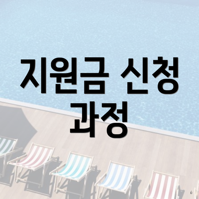 지원금 신청 과정