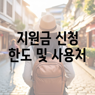 지원금 신청 한도 및 사용처