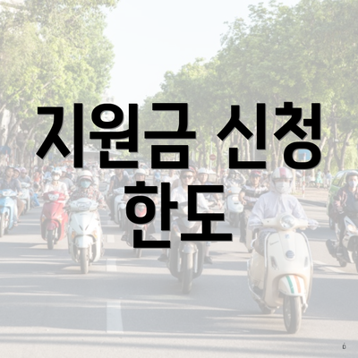 지원금 신청 한도