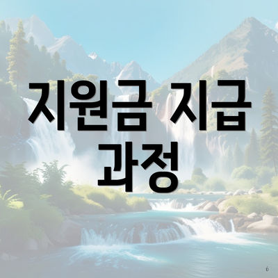 지원금 지급 과정