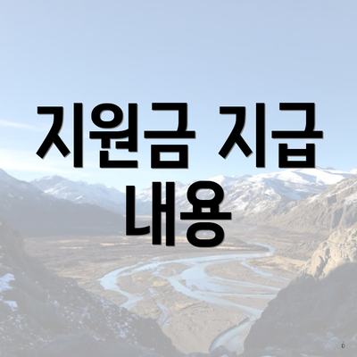 지원금 지급 내용