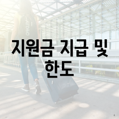 지원금 지급 및 한도
