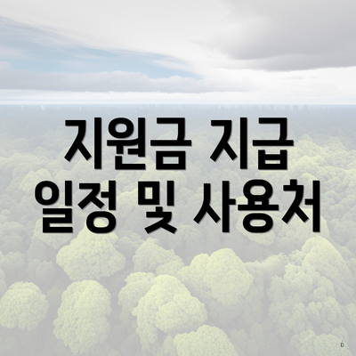 지원금 지급 일정 및 사용처