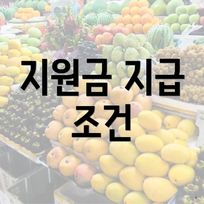 지원금 지급 조건