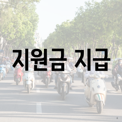 지원금 지급