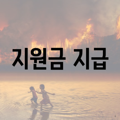 지원금 지급