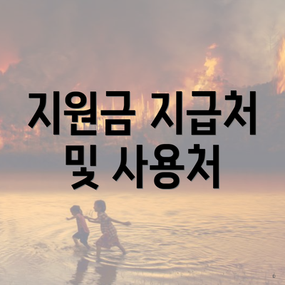 지원금 지급처 및 사용처