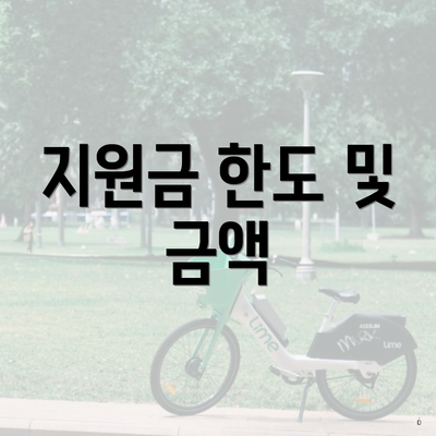 지원금 한도 및 금액