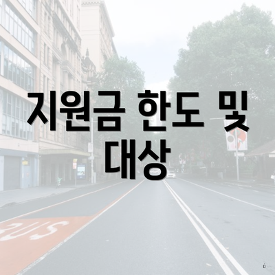 지원금 한도 및 대상
