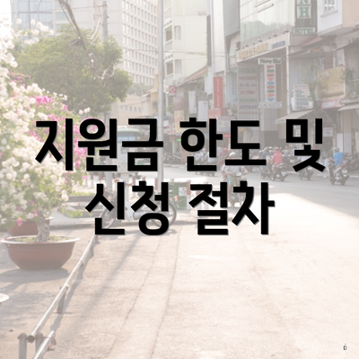 지원금 한도 및 신청 절차