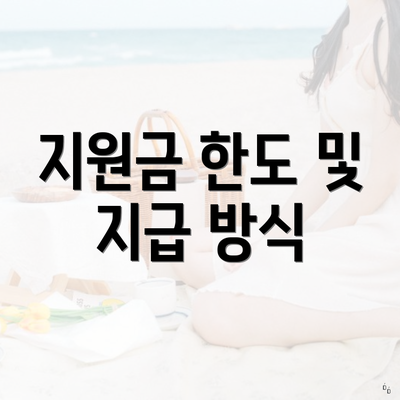 지원금 한도 및 지급 방식
