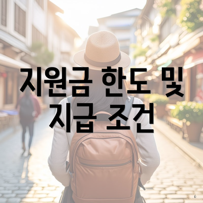 지원금 한도 및 지급 조건