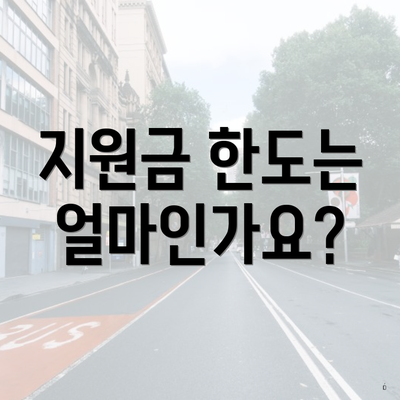 지원금 한도는 얼마인가요?
