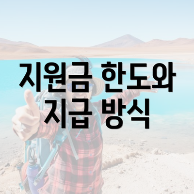 지원금 한도와 지급 방식
