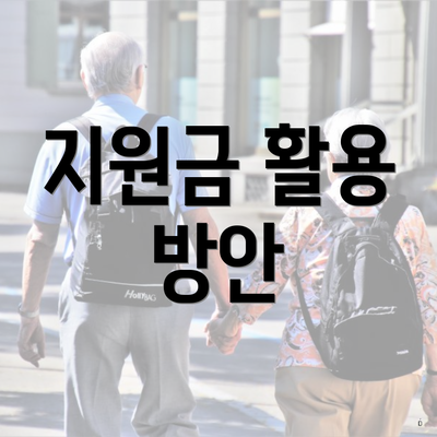 지원금 활용 방안