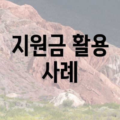 지원금 활용 사례