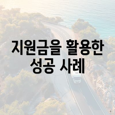 지원금을 활용한 성공 사례