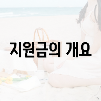 지원금의 개요