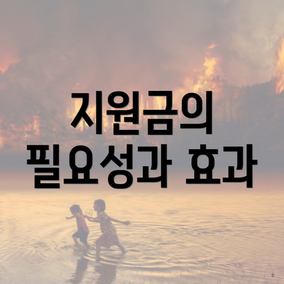 지원금의 필요성과 효과