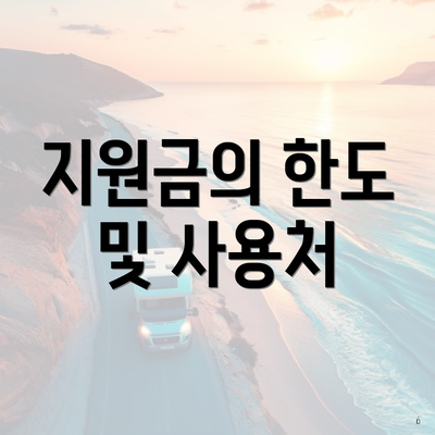 지원금의 한도 및 사용처