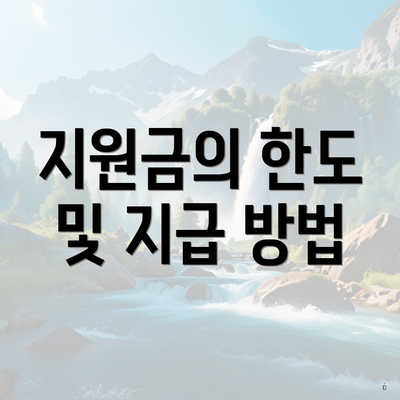 지원금의 한도 및 지급 방법
