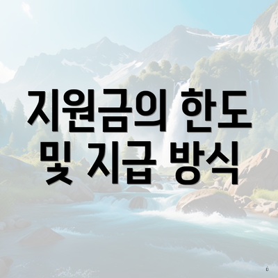 지원금의 한도 및 지급 방식