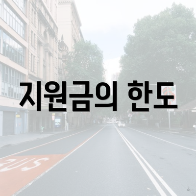 지원금의 한도